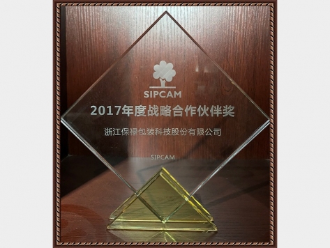 2017年度戰(zhàn)略合作伙伴獎(jiǎng)